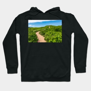 Sand Dunes Hoodie